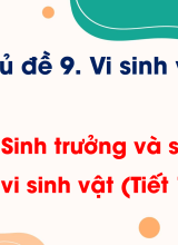 Bài 18. Sinh trưởng và sinh sản ở vi sinh vật (Tiết 1)